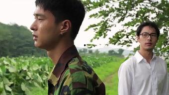 南行视频在线观看